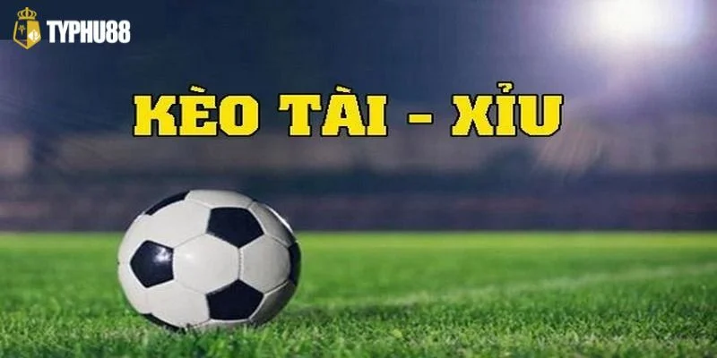 Kèo Châu Âu không quá khó để chơi, ai cũng có thể thử, kể cả tân thủ.